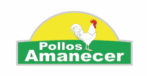 recursos para la web-03