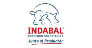 recursos para la web-14